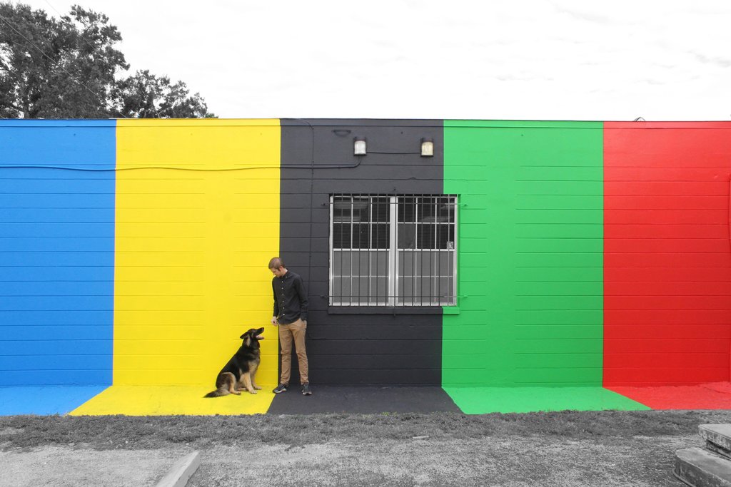 OUR OFFICE MURAL IS FINISHED!